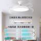 Invisible Integrated Fan Chandelier for Living Room and Dining Room, 2026 New Model, High-End Energy-Saving Inverter Fan Light