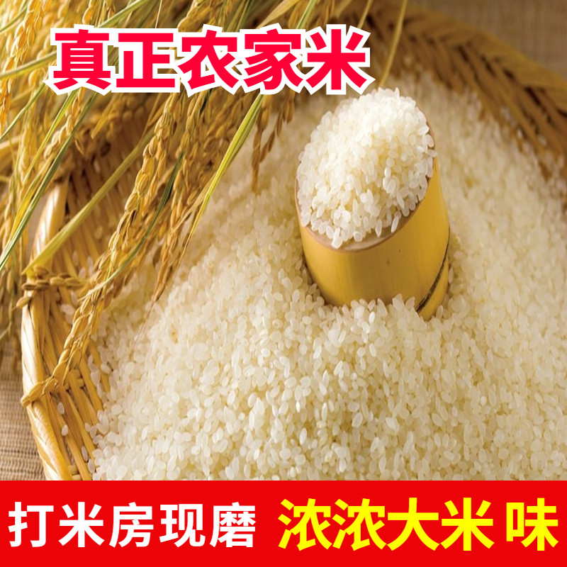 (Local farmer japonica rice nine catties) 2021 new rice alpine cold water rice self-produced fragrant (bulk)