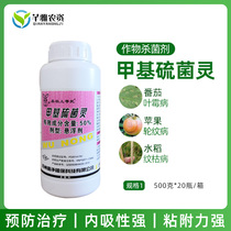 Thieonil methyl methoxide suspension agent 50% vegetable fruit tree black spot leaf spot anthracnose pesticide fungicide