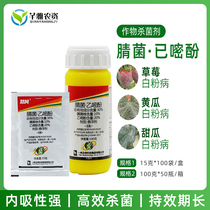 Yifan stepping Wind Flower vegetable fruit tree cucumber grape rose meat resistant powdery mildew pesticide fungicide