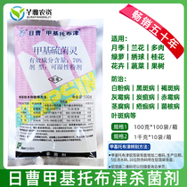 Thibuzin methyl 70% Cao Jiato fungicide vegetable fruit tree anthrax leaf spot blight pesticide fungicide