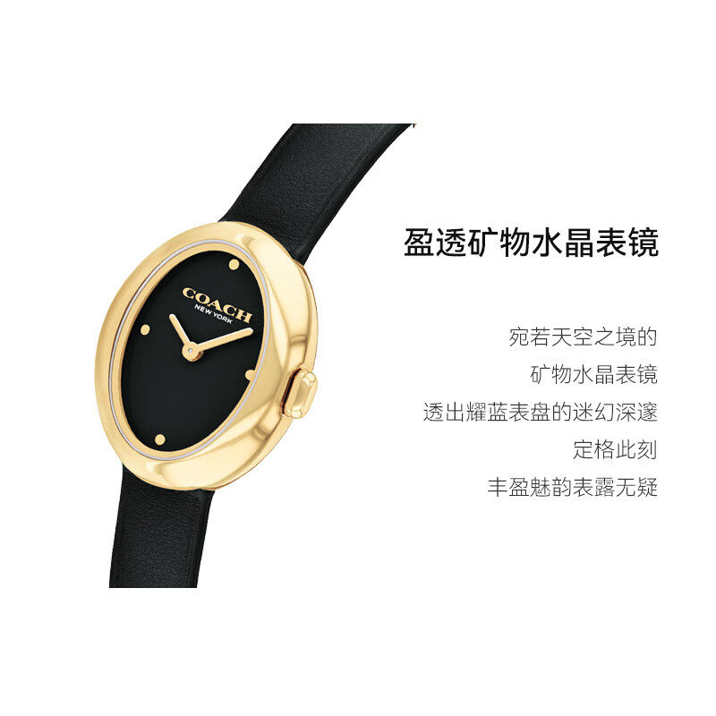 COACH Sammy Series Belt Oval Numeralless Dial Quartz Women's Watch as a Gift for Your Girlfriend