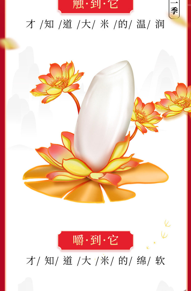安享好物 安享D级粳米-十月稻田长粒香大米 国标