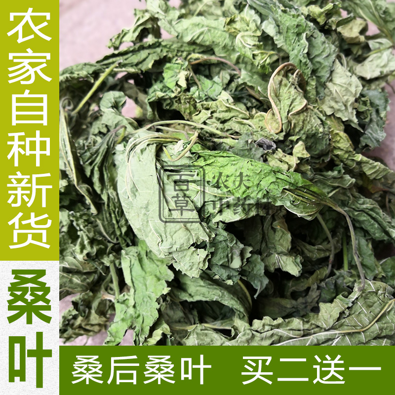 Buy 2 Get 1 Free After Cream Mulberry Leaf Tea Fresh Pure Cream Mulberry Leaf Mulberry Leaf 2019 High Quality Special Dandelion