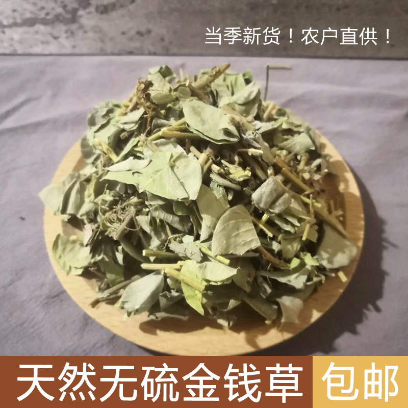 Money herb real rural wild new money herb herbal herbal herbal herbal herbal and horseshoe gold