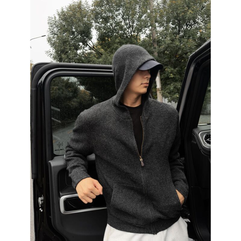 Sieber/Xibo Autumn Hooded Knitted Sweater Cardigan for Men, Atmospheric Casual High-End Cardigan Jacket