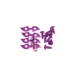 Self -Attack Vint Purple