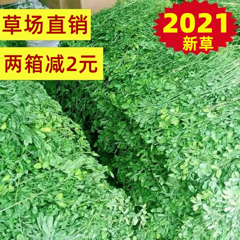 21 years old new alfalfa hay Rabbit grass Fresh young rabbit food Chinchilla Dutch pig forage feed Alfalfa