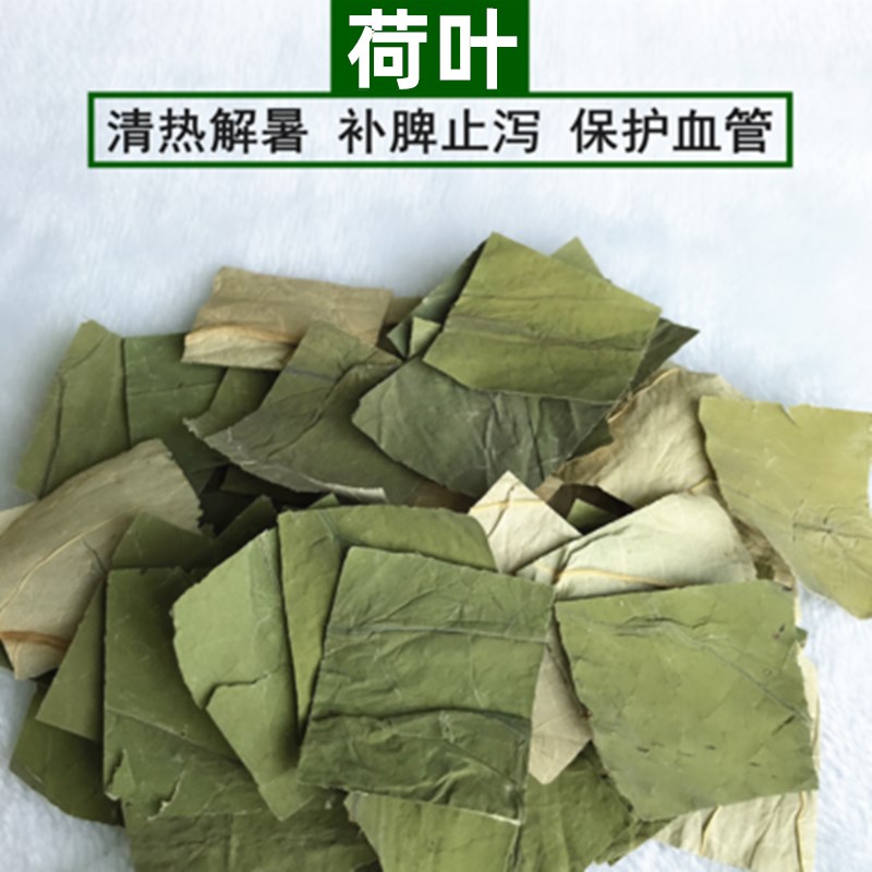 Lotus leaf dry heat and heat stroke supplement spleen stop laxative urine through rabbit dragon cat Dutch pig snacking grass health care type grass