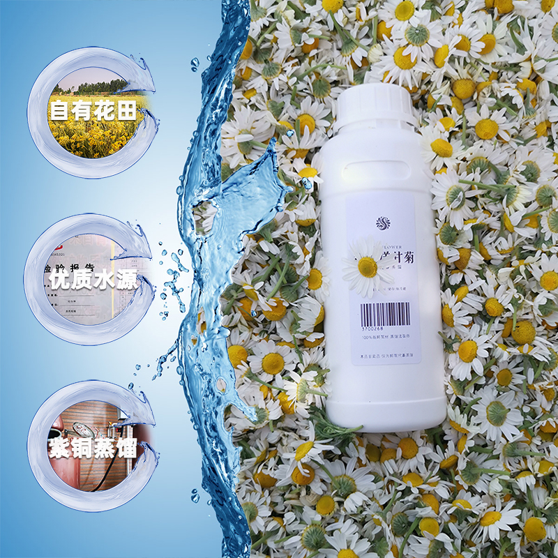 Roman Ocean Chamomile Flowers Pure Dew 500ml Red Copper Saturated Distilled-Taobao