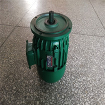 Henan Zhenniu hoisting motor ZDY21-4 0 8KW conical rotor three-phase asynchronous motor
