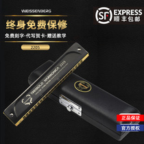 Taiwan Wiesenburg 22-hole polyphonic harmonica Beginner introduction Adult self-study professional musical instrument metal body 2205