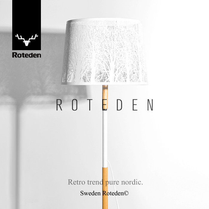 Floor lamp minimalist modern Nordic style design bedroom book room remote control dimming home creative eye eye table lamp