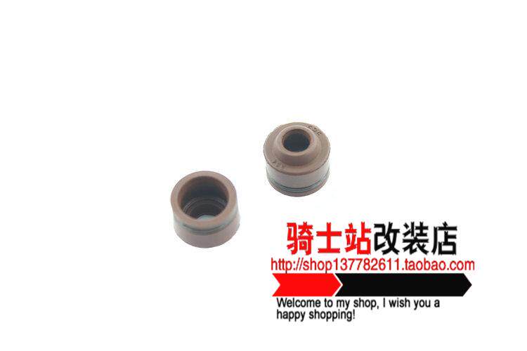 Fuxi Fuxi RSZ Chocolate JOG Car Play Lihawk 100 original cylinder valve oil seal