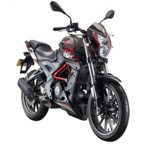 Little Huanglong BJ250-15 15A Cubs 250 cylinder cylinder piston piston ring cylinder gasket