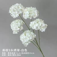 5 высоких гортензий (белый)