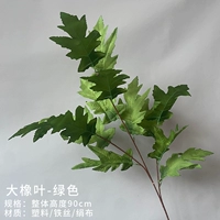 Арбуз красный слон листья (зеленый)