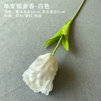 Одиночный тюльпан (белый)