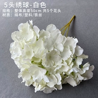 Белая 5-головная гортензия (белая)