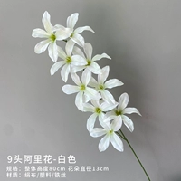 Цветок Али (белый)