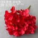 Цвет шампанского 5 Hydrangea-Red