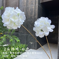 2 гортеня (белая)