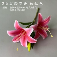 2 головы над жвалой Лили (розовая красная)