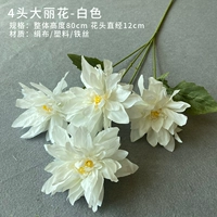 Розовая 4 голова Далии (белая