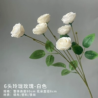 6 изысканных роз (белые)