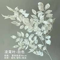 Серебряный лист лингксиао (белый)