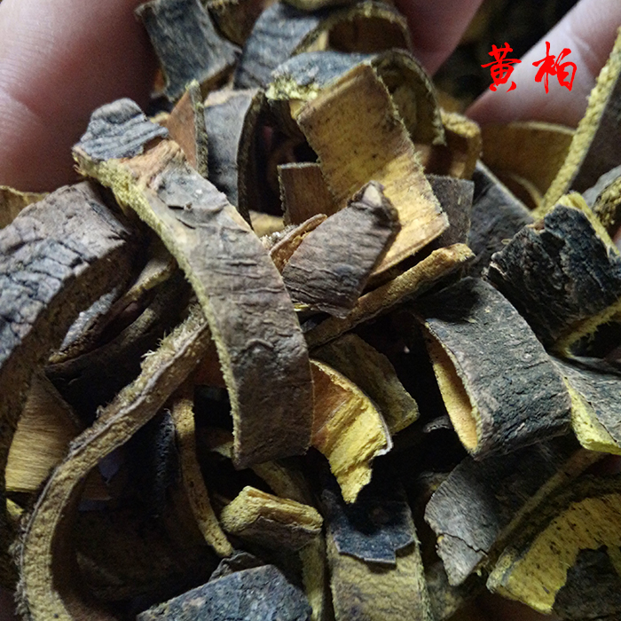 Shiyao Renowned Traditional Nourishing Products Chinese Herbal Medicine Sichuan Golden Cypress Berberi Berberi Berberi for 500g-Taobao