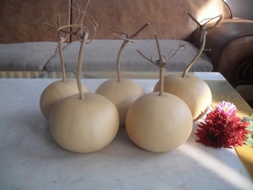 Natural wild round gourd apple gourd persimmon gourd full of 5