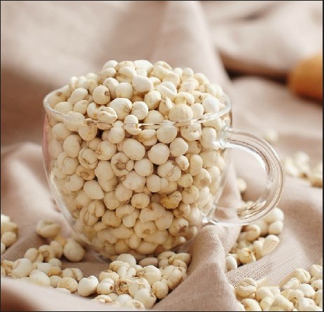 Chinese herbal medicine batch of Sichuan fritillary mother authentic hand selection of original flavor Songbei pleasant to be milled with dried orange peel powder 20 gr