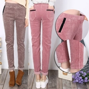 2018 mùa thu mới kích thước lớn quần nhung kẻ co giãn eo thường quần thun thun retro quần nhung kẻ sọc