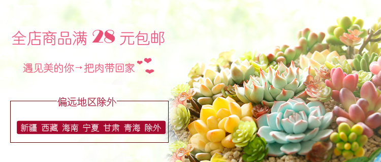 Vật tư làm vườn, đặc biệt cho thủy canh, ceramsite, không trồng trọt, làm vườn, cây xanh, gốm carbon trang trí, khoảng 50g bình xịt tưới cây mini