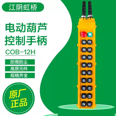 Jiangyin Hongqiao COB-2H4H6H8H10H12H button switch driving electric crane control handle