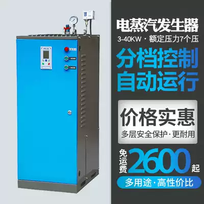 Hongneng electric heating steam generator Industrial commercial electric steam boiler to make tofu edible fungus steamed steamed buns to make wine