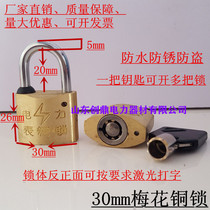 Power Meter Box Lock 30mm Plum Bronze Lock Through Open Padlock Case Changing Lock Internet Café Case Lock Copper Lock Power Lock