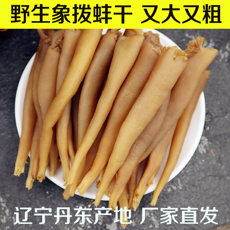 Elephant mussel dried ivory mussel sea shoots Elephant Snub Sea Bing Sea Mussel Dry Dandont Produce Seafood Dried 