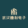 武汉腾利电子