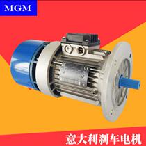 Italy MGM brake motor Wind energy special motor Wind energy motor 3KW AC brake motor
