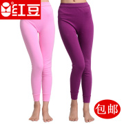 Bà Red Bean kiểu quần một mảnh quần quần bông bông bông mùa thu dòng quần cotton quần ấm có một mã lớn hơn.