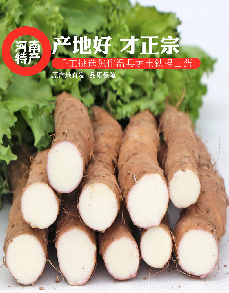 垆土地山药，60公分山药，焦作山药，温县山药团购价格插图