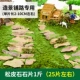 Матси Каменные таблетки 1 Catty-Scenery и Paving на пути (около 25 таблеток)