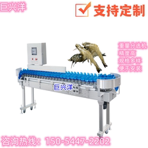 Sorting machine Pomfret sorting machine Dried fresh abalone Oyster sorting machine Chicken legs Chicken feet Chicken wings Squid Squid grading machine
