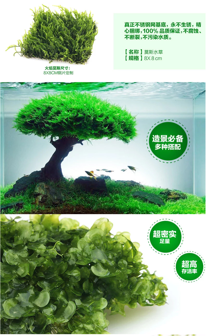 莫斯莫丝莫斯网片三角莫斯水草莫斯水草前景水草阴性水草 新品美靴 水草 莫斯 阴性 前景 网片途虎网
