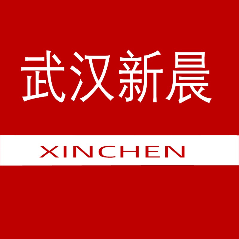 武汉新晨汽车电子