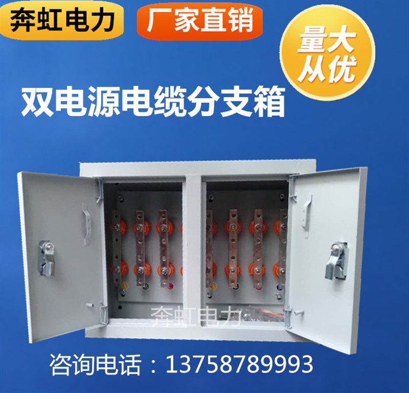 Dual power cable branch box Mineral cable copper row box Outdoor rainproof box Stainless steel branch box