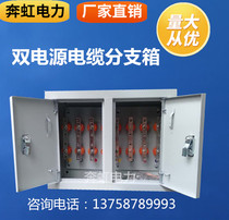Dual power supply cable branch case mineral cable copper bar case Outdoor waterproof case stainless steel branch box