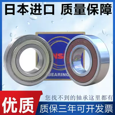 NSK imported 6200 6201 6202 6203 6204 6205 6206ZZ DDU high speed bearings